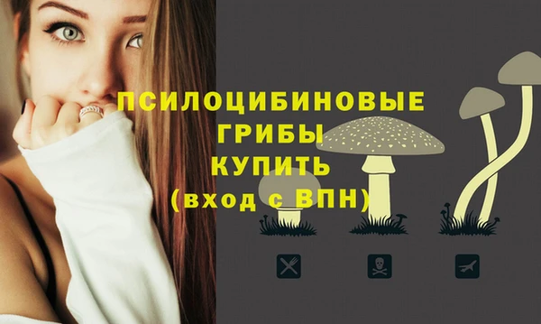 a pvp Елизово