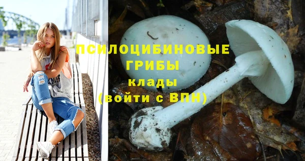 Альфа ПВП Елабуга