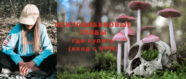 Альфа ПВП Елабуга
