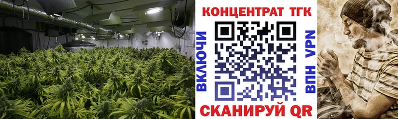 Дистиллят ТГК THC oil  Купить закладки  Черногорск 