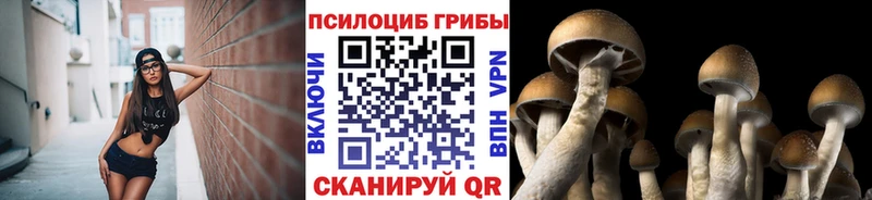 Псилоцибиновые грибы мицелий  Купить где  Черногорск 